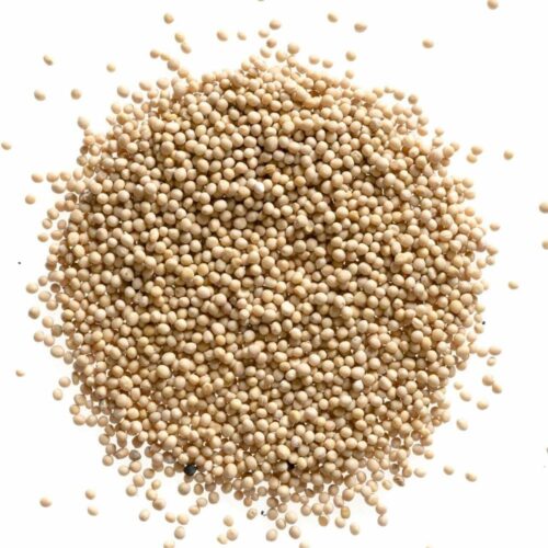 Yellow Mustard Seeds