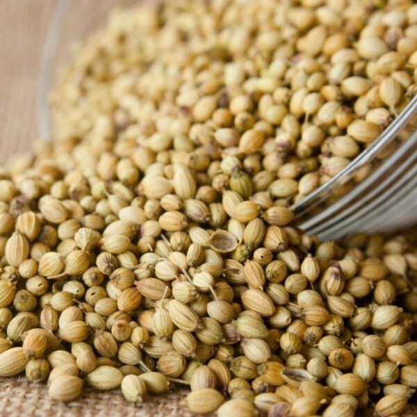 Coriander Seeds