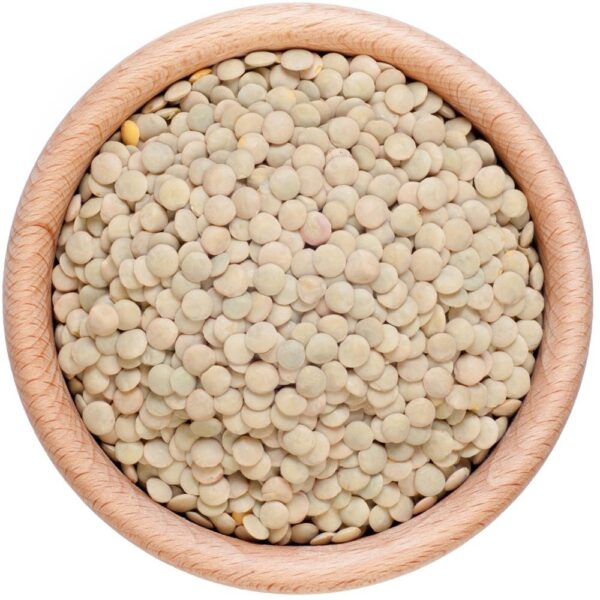 Organic Brown Lentils