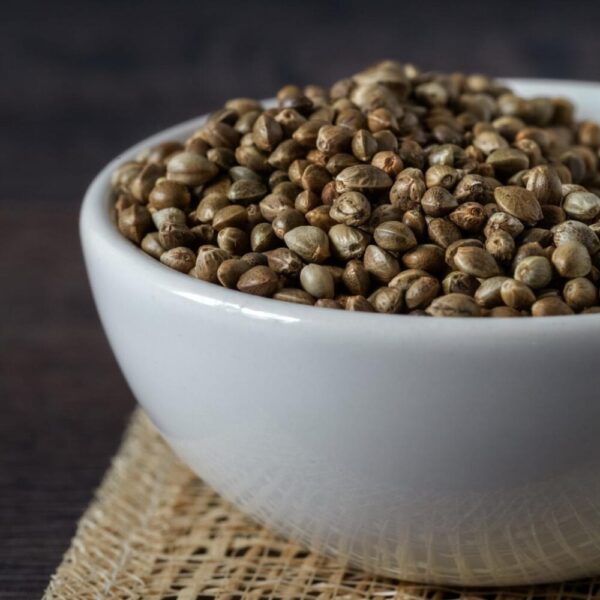 Organic Hemp Seeds Supplier