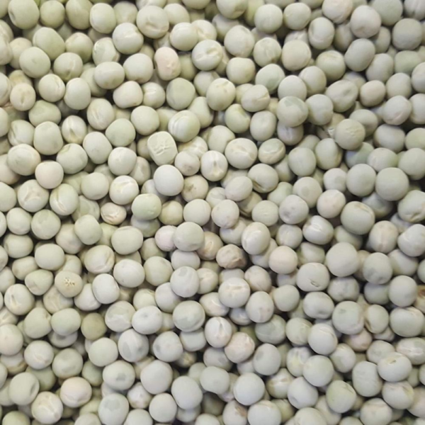 Dried Green Peas