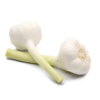Fresh Garlic Wholesale Pure White