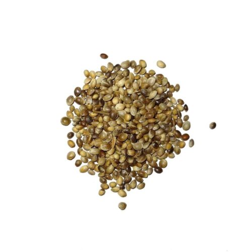 Organic Hemp Seeds Supplier