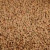 Organic Brown Lentils