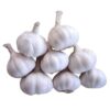 Fresh Garlic Wholesale Pure White