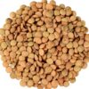 imgi_151_High-Quality-Green-Lentils-Red-Lentils-Brown-Lentils-at-Wholesale-Price Green, Red, Brown Lentils