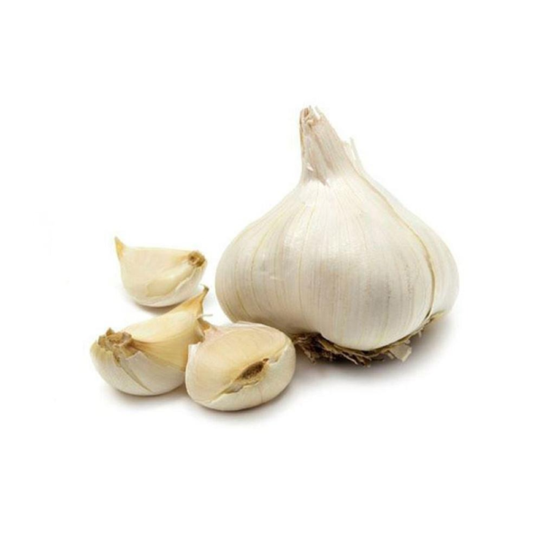 Fresh Garlic Wholesale Pure White