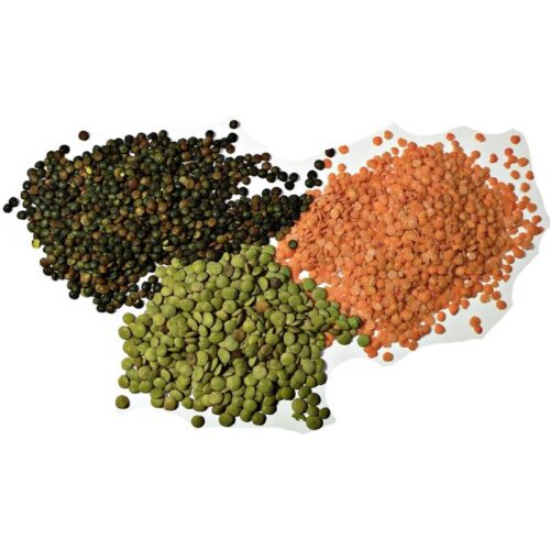 Green, Red, Brown Lentils