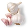 Fresh Garlic Wholesale Pure White