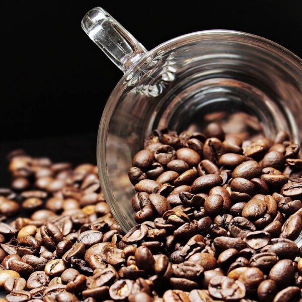 Arabica Coffee Beans 100%