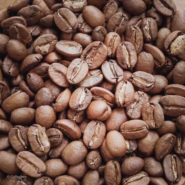 Arabica Coffee Beans 100%