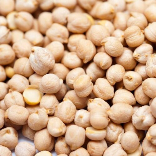 Bulk Supply of Organic Chickpeas