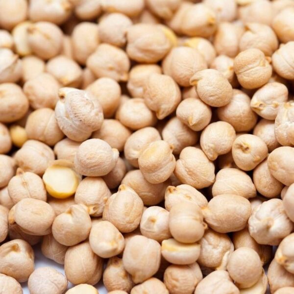 Bulk Supply of Organic Chickpeas