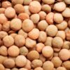 Organic Brown Lentils