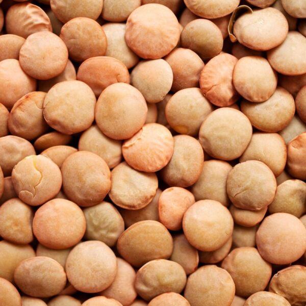 Organic Brown Lentils