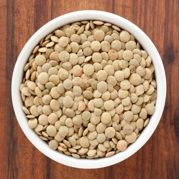Organic Brown Lentils